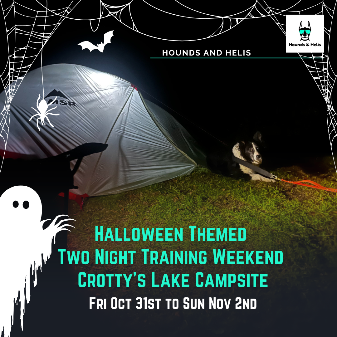 Halloween Themed Two Night Training Weekend – Crotty’s Lake Campsite - Fri Oct 31st to Sun Nov 2nd