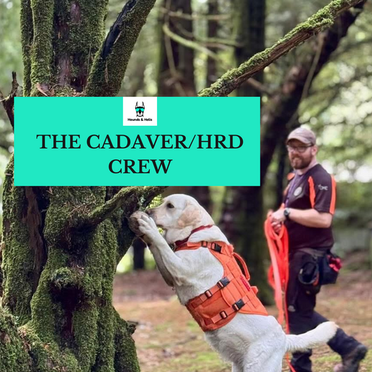 The Cadaver Crew