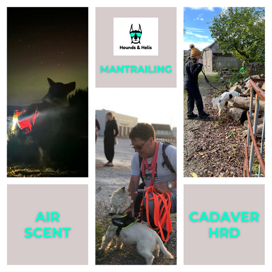Drop In Sessions Mantrailing, Air Scent & Cadaver Training