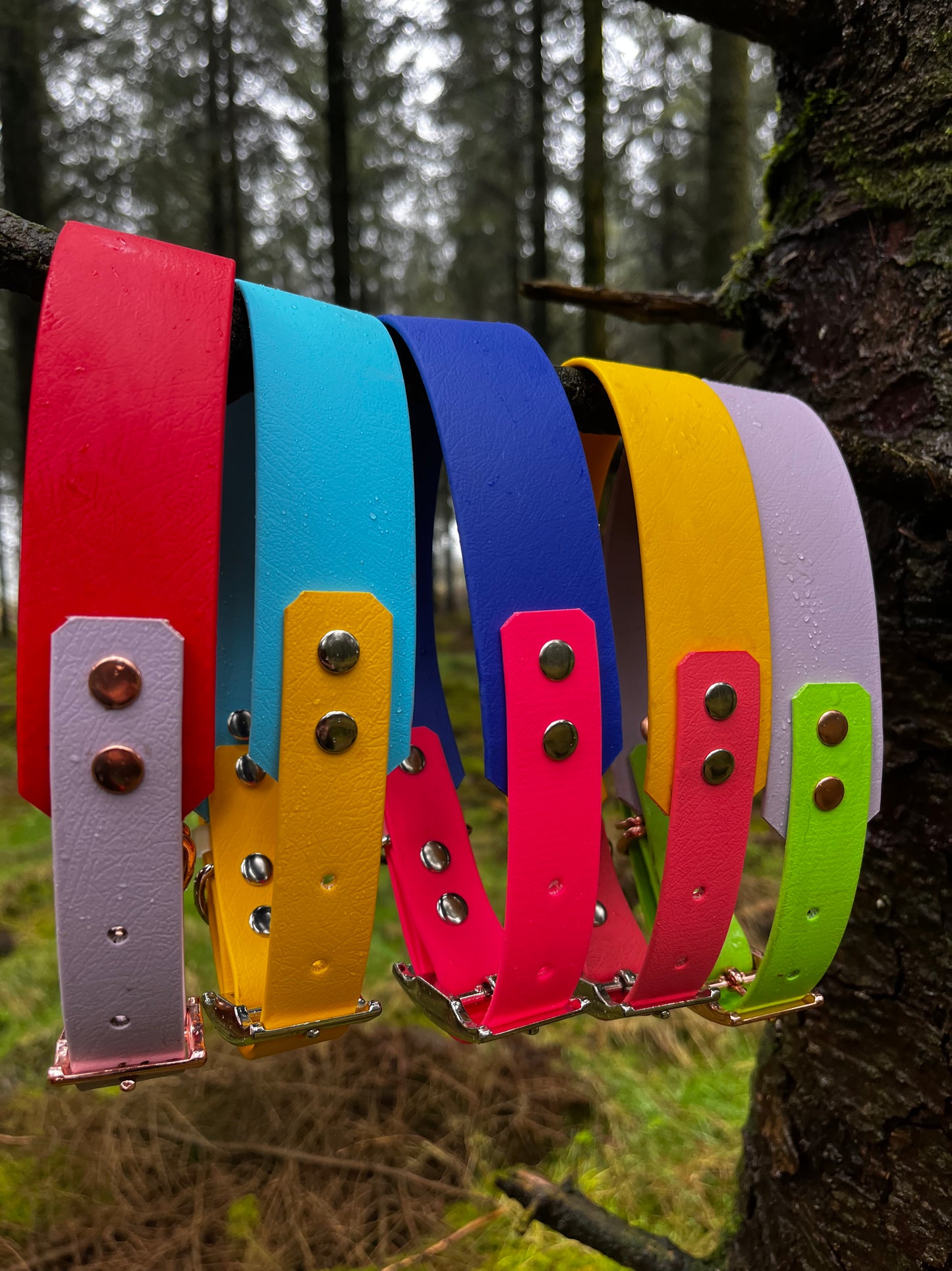 Hound Collar - Suitable for all breeds