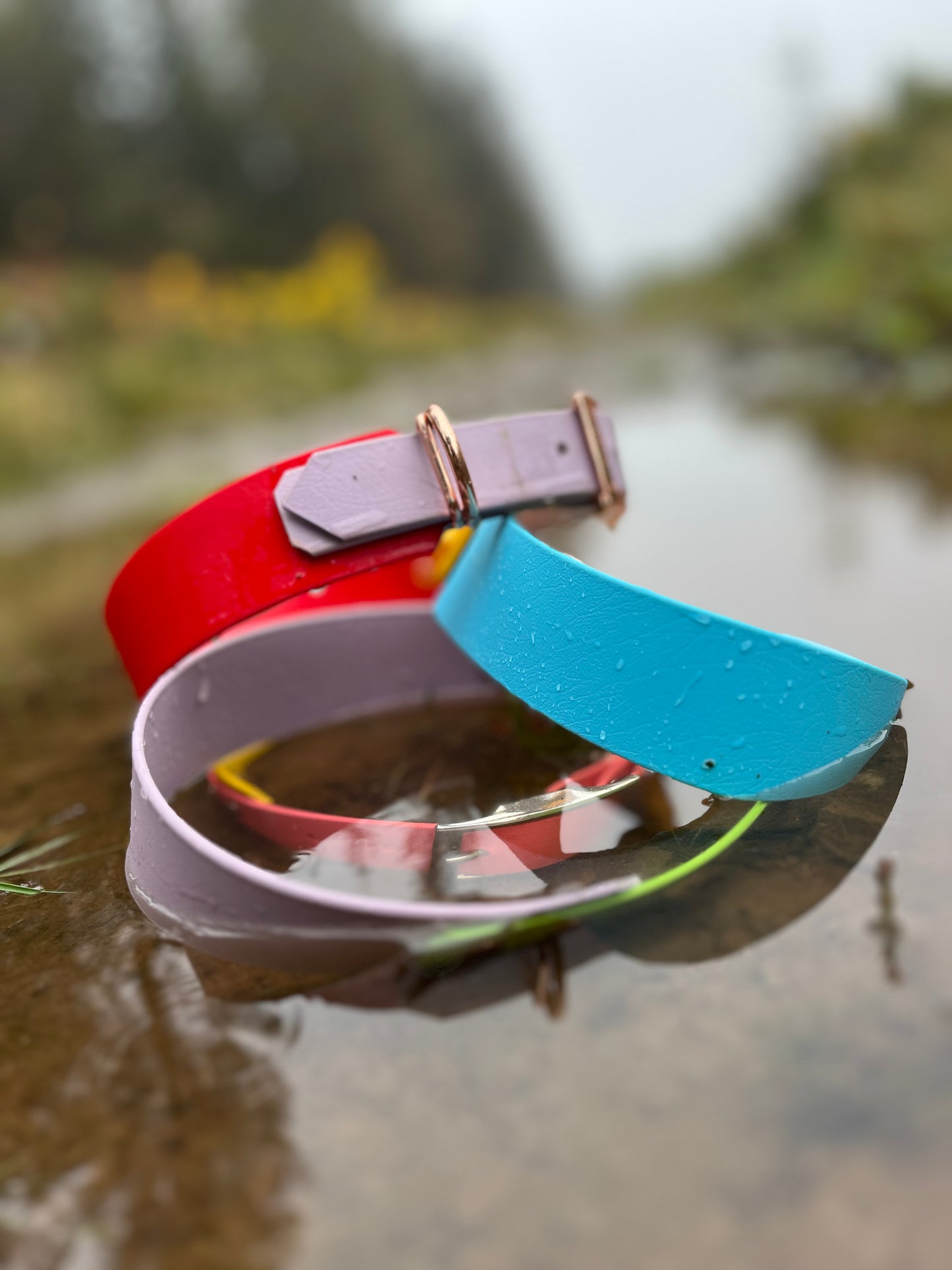 Hound Collar - Suitable for all breeds