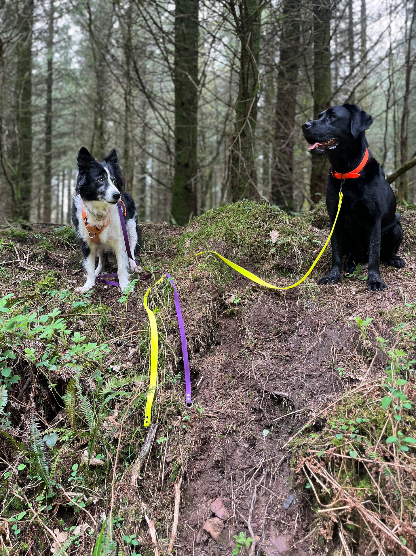 Drag Line – 2m Waterproof Long Line