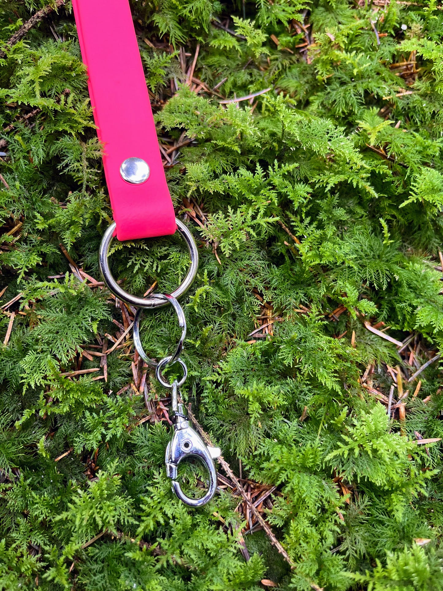 Key & Whistle Lanyard – 37" BioThane® Strap