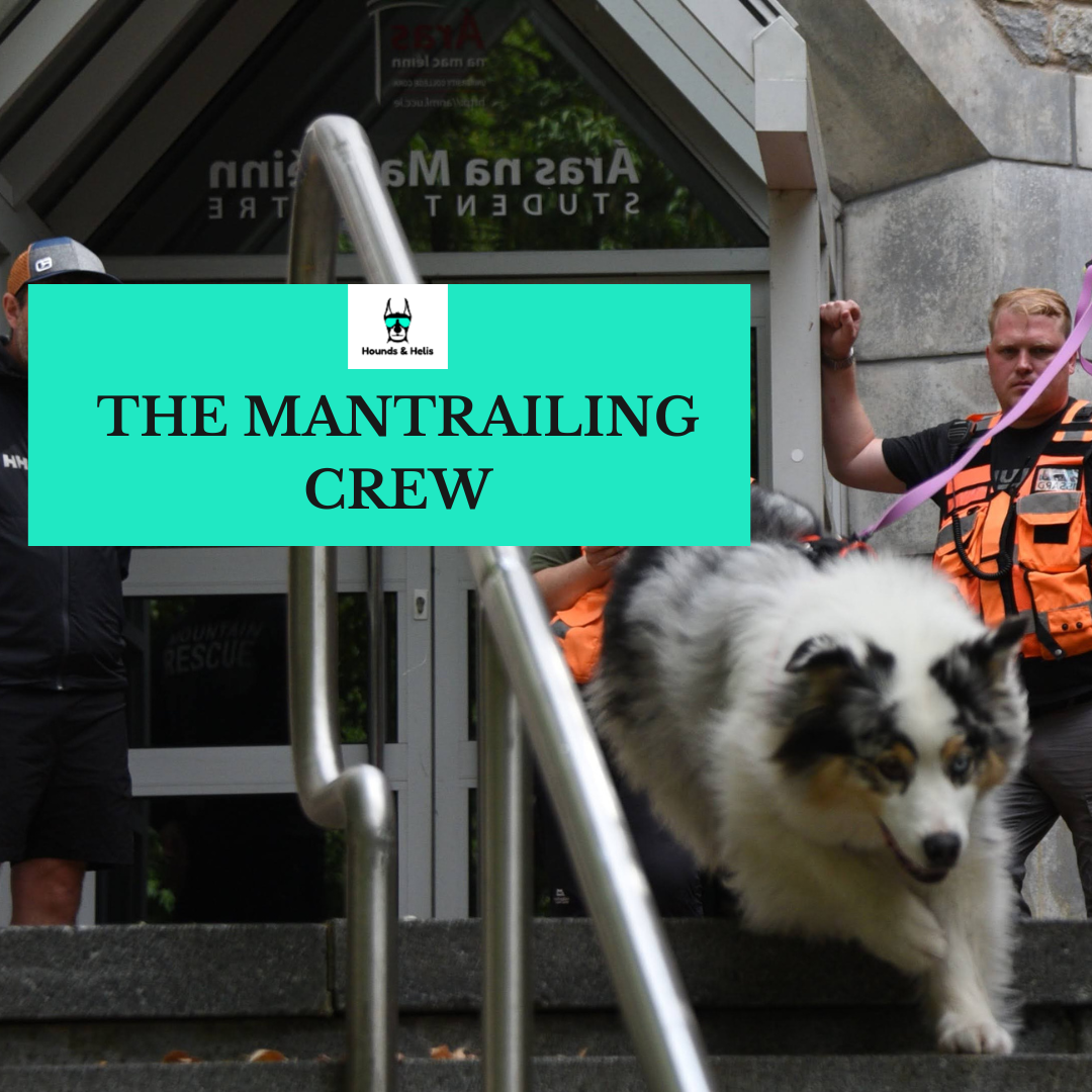 The Mantrailing Crew