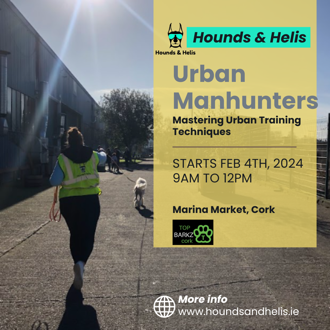 Urban Manhunters - Mastering Urban Trailing Techniques