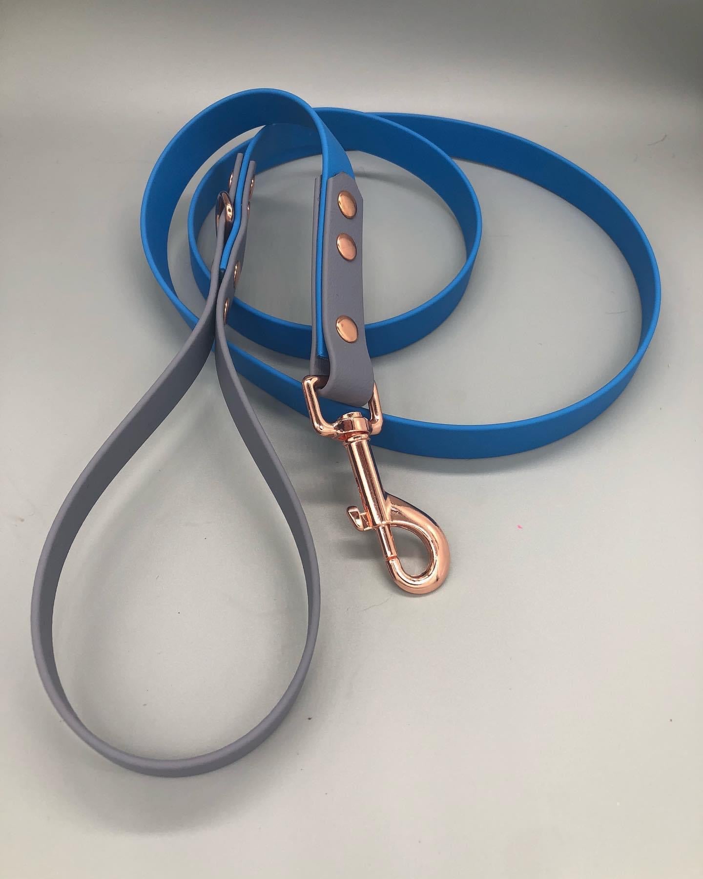 Two Tone Biothane Lead