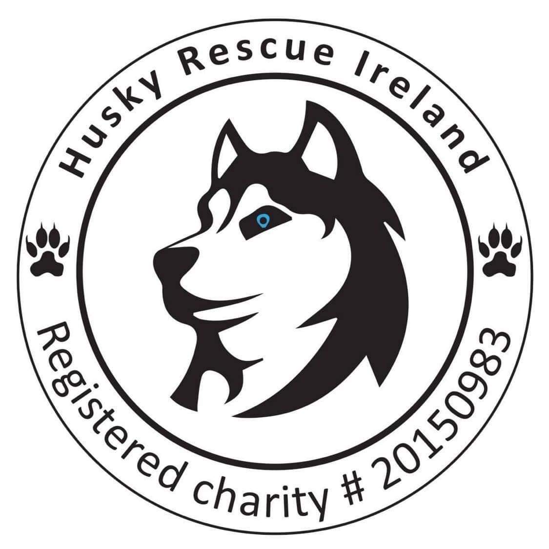 Two Tone Collars - Support for Ukraine's Animals