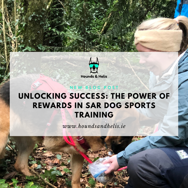 Unlocking Success: The Power of Rewards in Search and rescue (SAR) Dog Sports Training