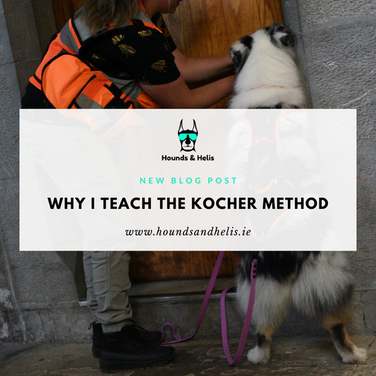 Why I Teach the Kocher Method