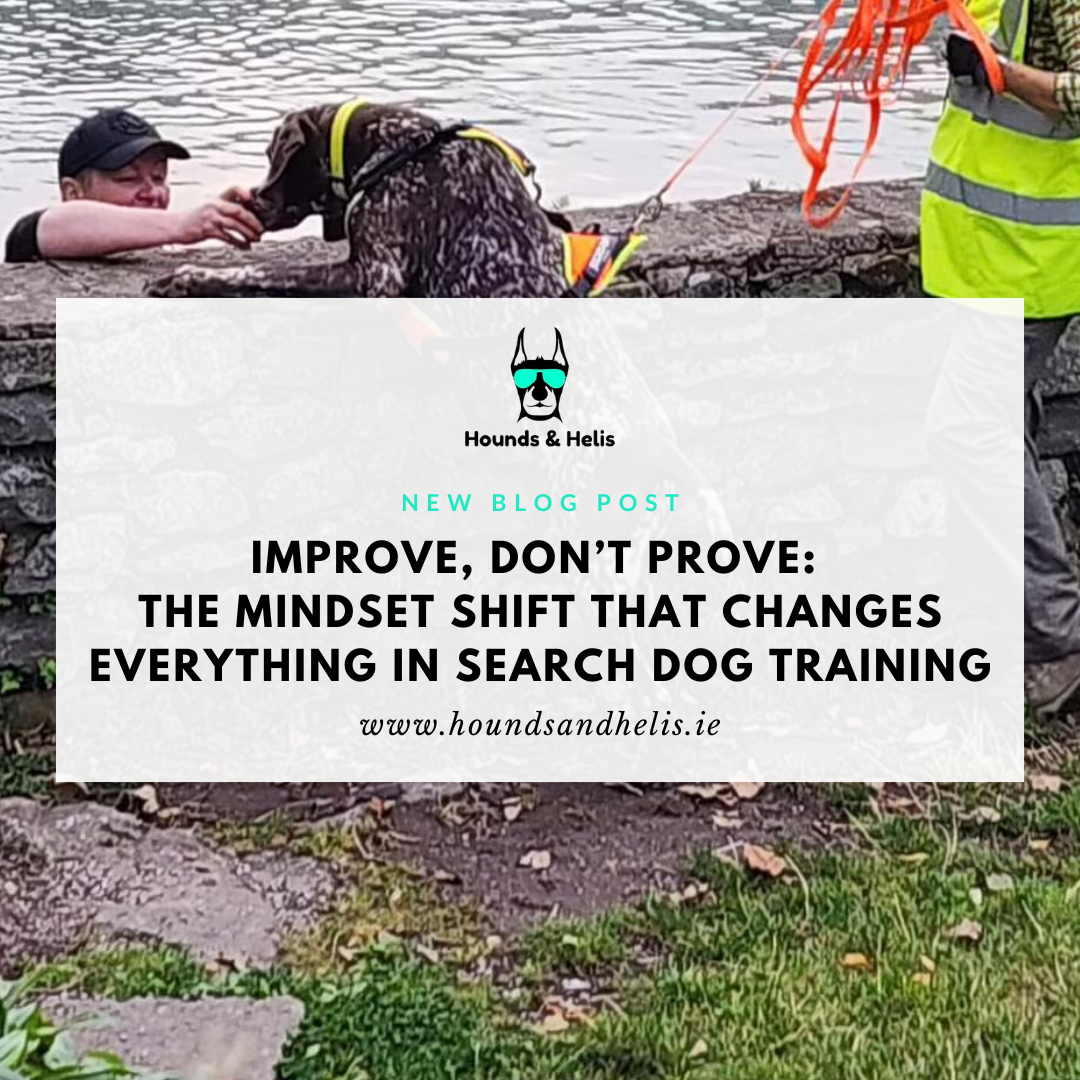 Improve, Don’t Prove: The Mindset Shift That Changes Everything in Search Dog Training
