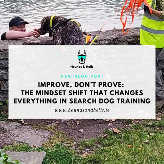 Improve, Don’t Prove: The Mindset Shift That Changes Everything in Search Dog Training