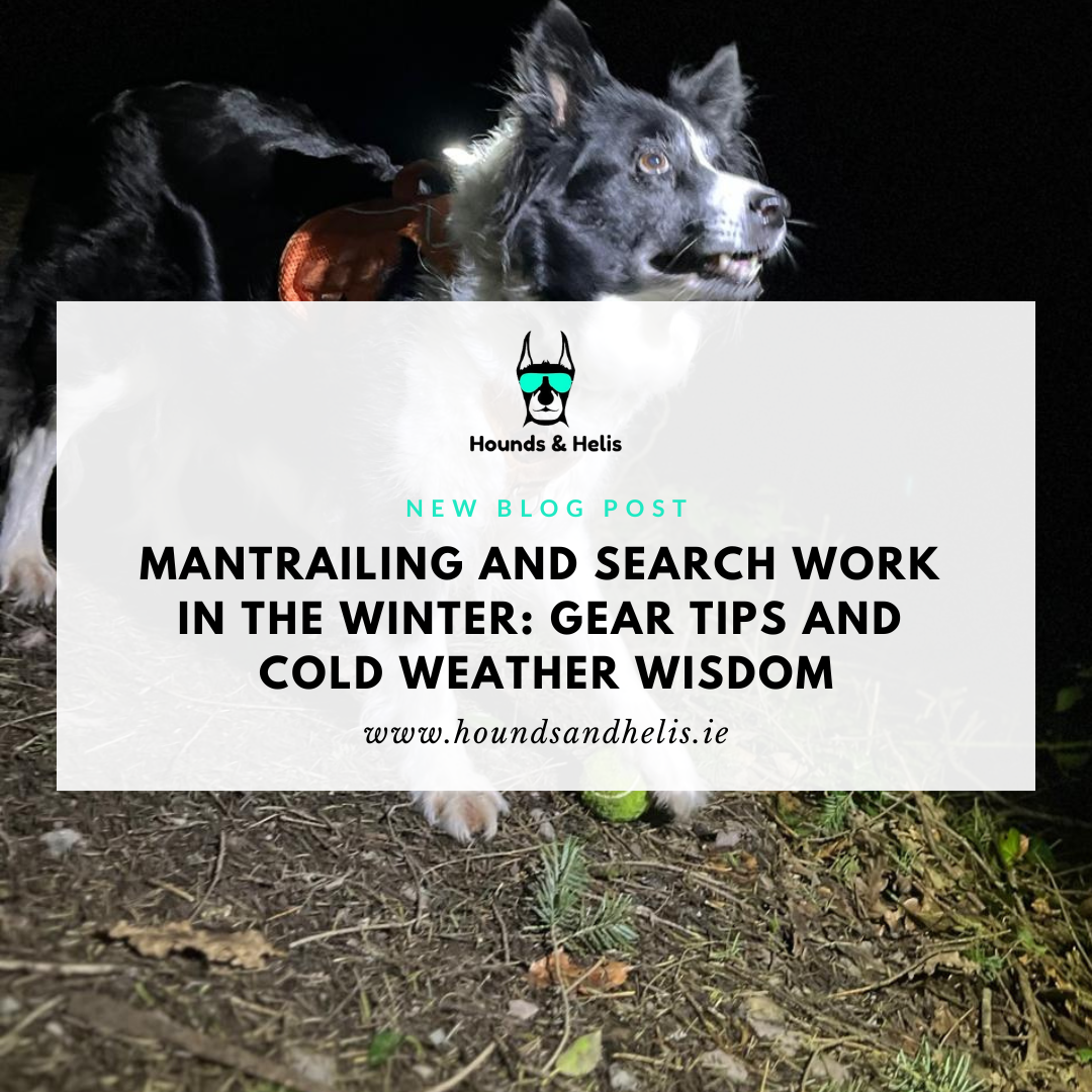 Mantrailing and Search Work in the Winter: Gear Tips and Cold Weather Wisdom