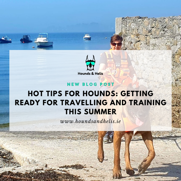 Hot Tips for Hounds: Getting ready for Travelling and Training this Summer