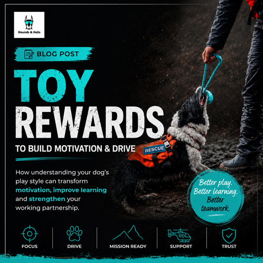 Promotional Hounds & Helis blog graphic showing a rescue dog tugging a toy with a handler. Text reads ‘Toy Rewards to Build Motivation & Drive’ and focuses on play, learning and teamwork in search dog training