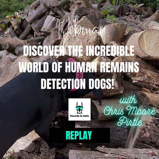 Discover the Incredible World of Human Remains Detection Dogs! - Replay