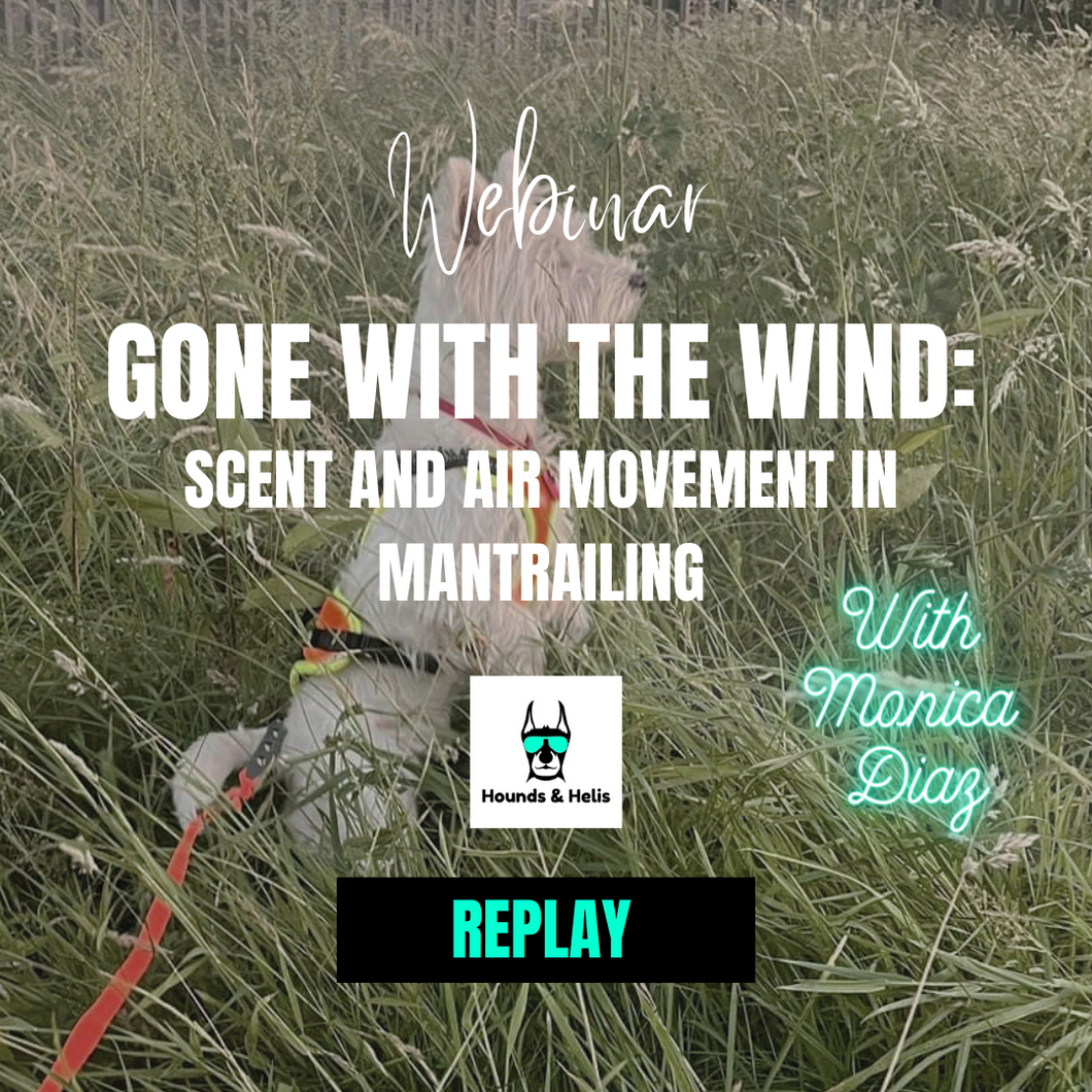 Gone with the Wind  - Scent and Air Movement in Mantrailing Webinar Replay