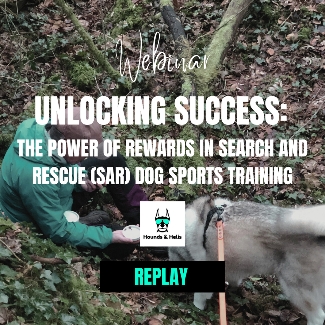 Unlocking Success: The Power of Rewards in Search and rescue (SAR) Dog Sports Training Replay