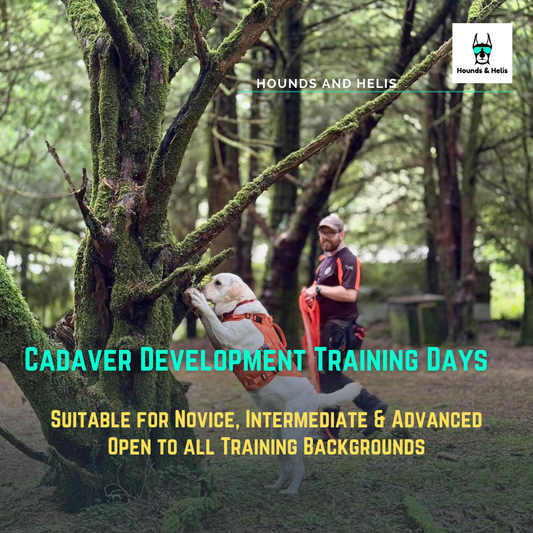 Cadaver Development Training Days