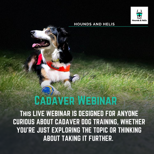 Cadaver Webinar