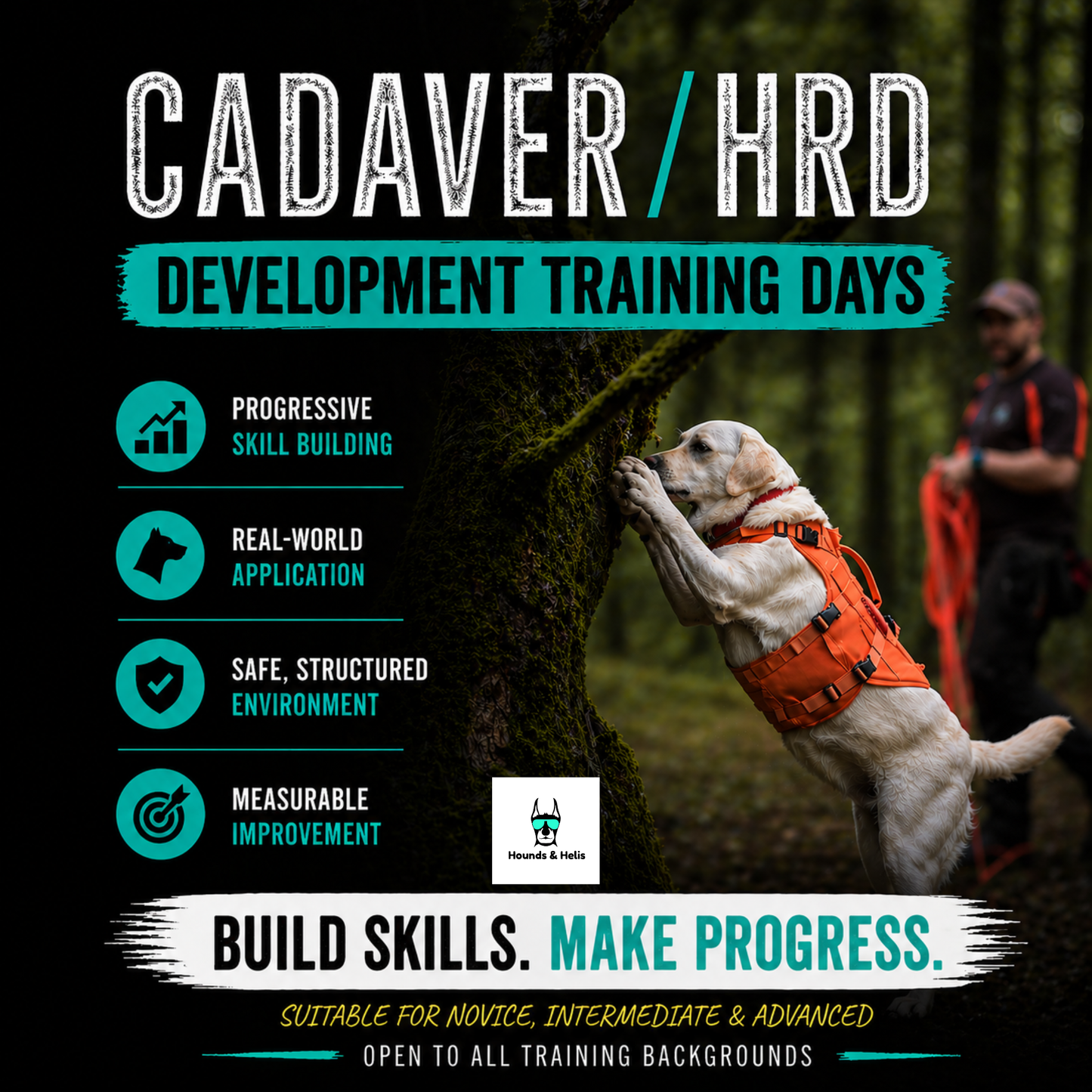 Cadaver Development Training Days