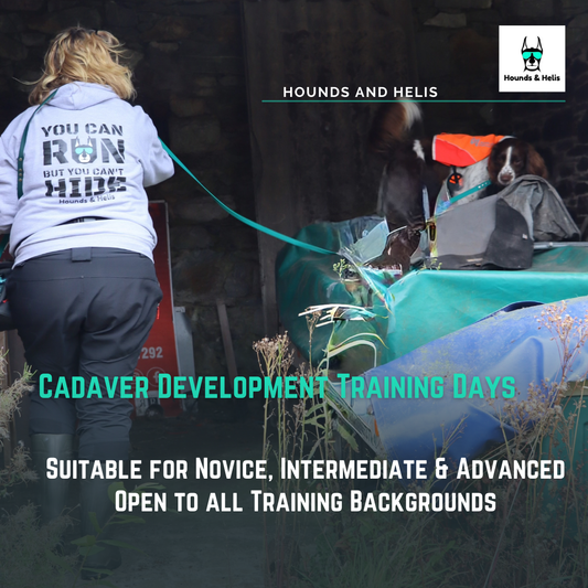 Cadaver Development Training Days