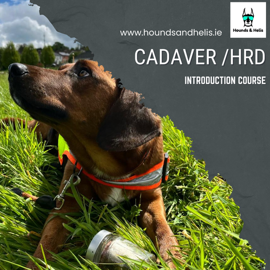 Introduction to Cadaver/HRD Course
