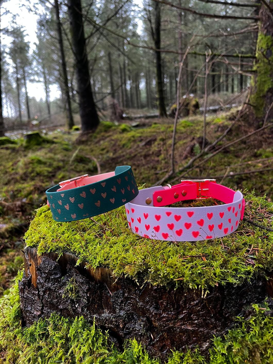 Valentine's Day Limited Edition Biothane Collars