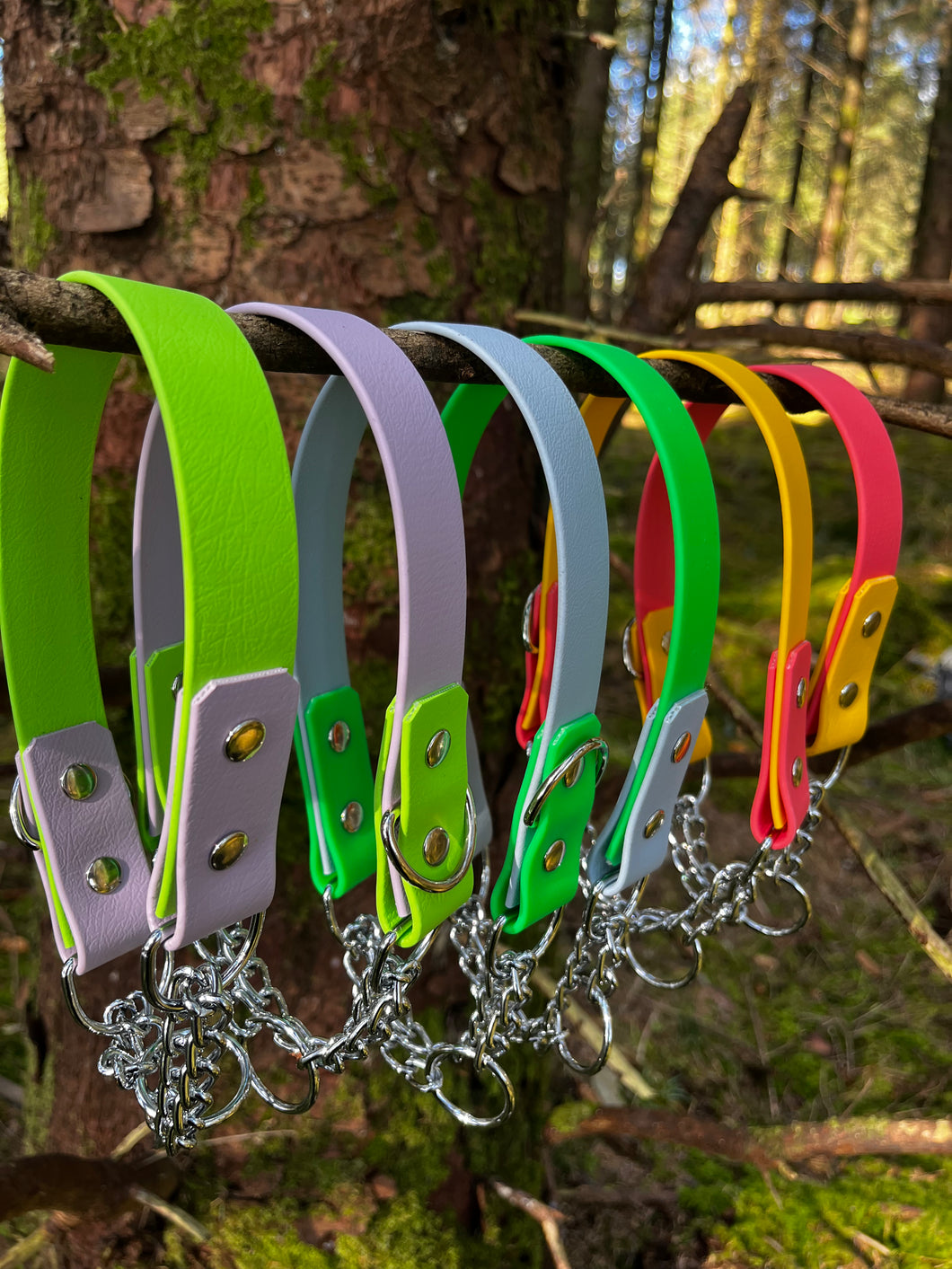 Martingale Collars