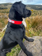 Load image into Gallery viewer, Hound Collar - Suitable for all breeds
