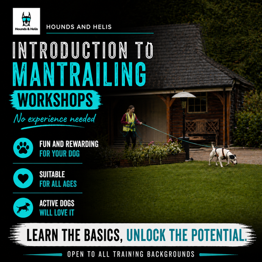 Introduction to Mantrailing Workshops