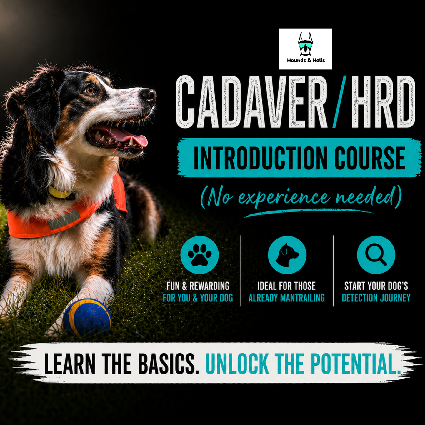 Introduction to Cadaver/HRD Course