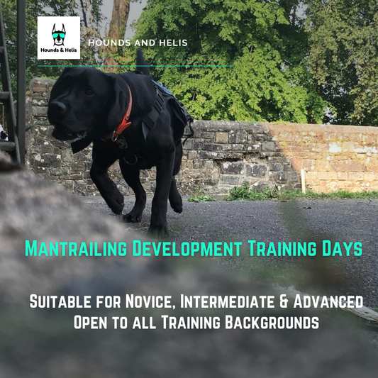 Mantrailing Development Training Days