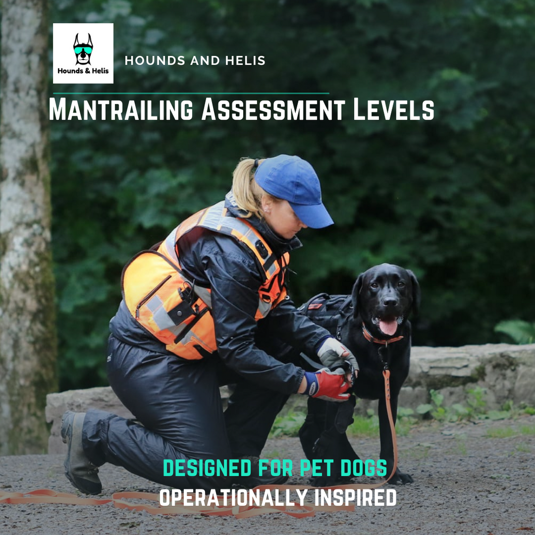 Mantrailing Assessment  - Sunday March 17th from 2pm to 5pm Little Island