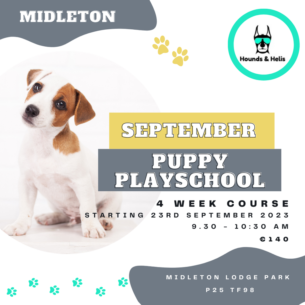Midleton Puppy Playschool Saturday September 23rd - 9:30am to 10:30am