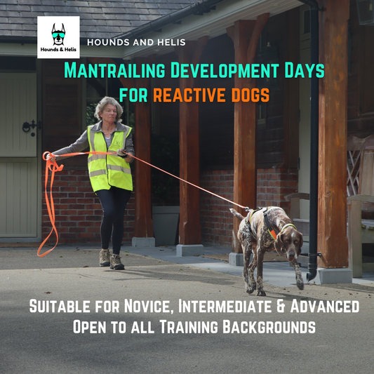 Reactive Dog Mantrailing Development Training Days - Fermoy
