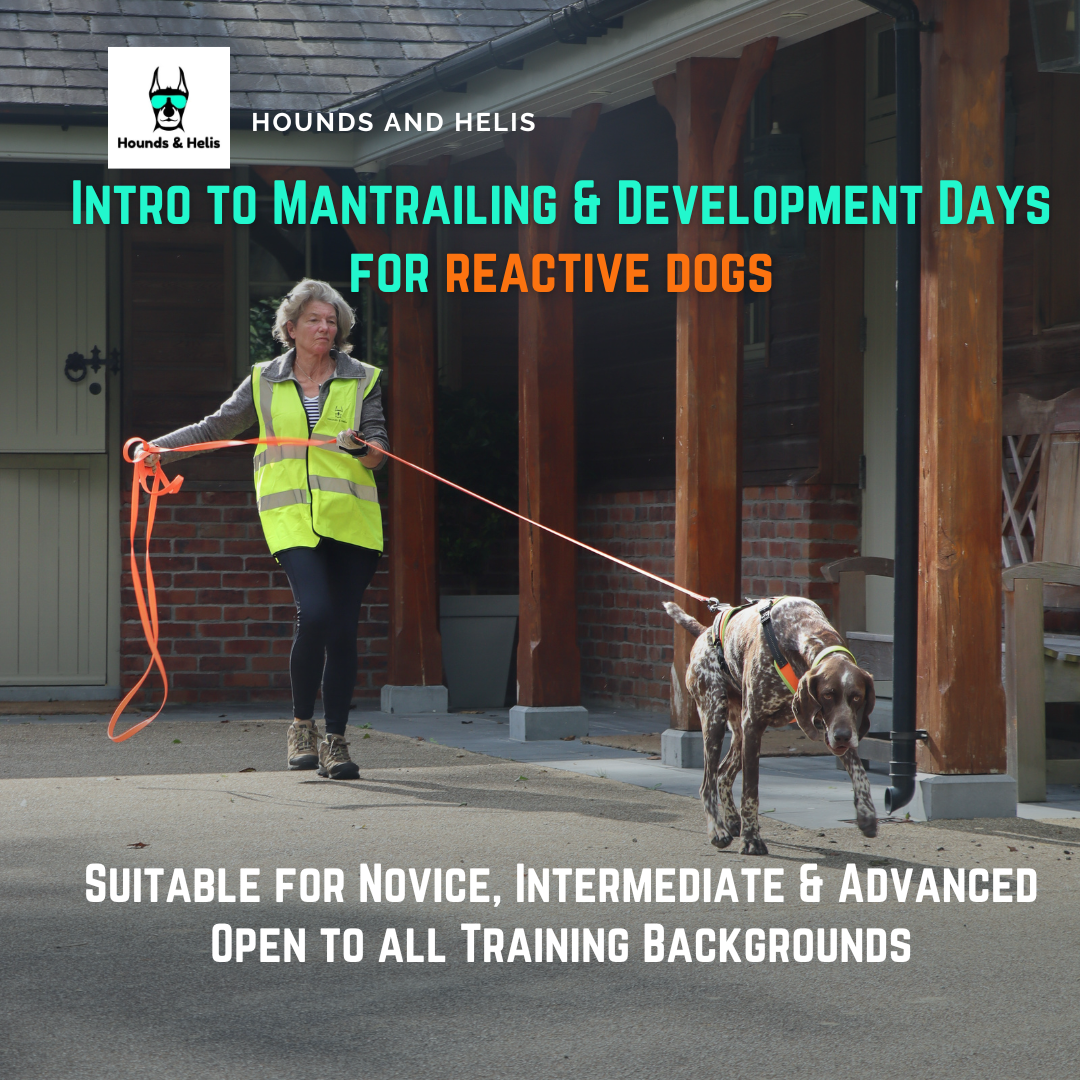 Intro to Mantrailing & Development Days for Reactive Dogs