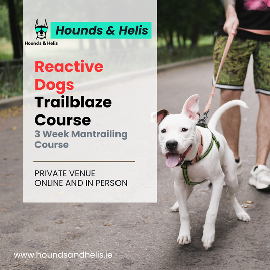 Reactive Dogs Trailblaze Mantrailing Course - June 2025