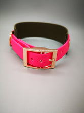 Load image into Gallery viewer, Biothane Hound Collar - Two Tone
